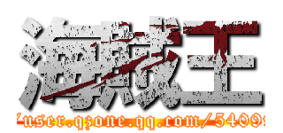海賊王 (http://user.qzone.qq.com/540991198)