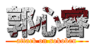 郭心睿 (attack on sokoban)