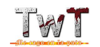 ＴｗＴ (Me cago en la puta)