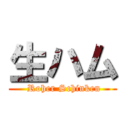 生ハム ( Roher Schinken)