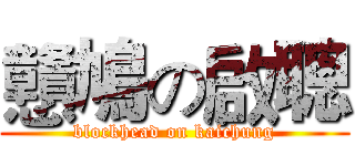 戇鳩の啟聰 (blockhead on kaichung)