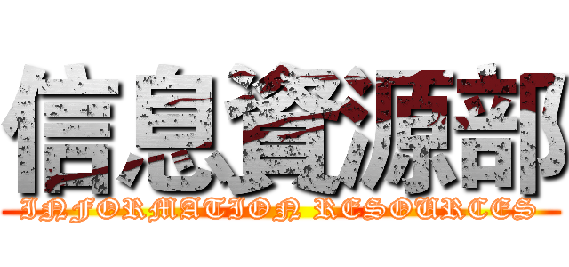 信息資源部 (INFORMATION RESOURCES)