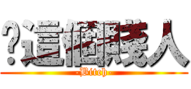 你這個賤人 (-Bitch-)