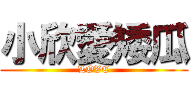 小欣愛矮瓜 (LOVE)