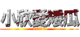 小欣愛矮瓜 (LOVE)