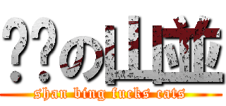 屌貓の山並 (shan bing fucks cats)