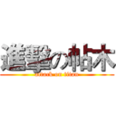 進擊の帖木 (attack on titan)