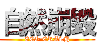 自然崩毀 (ECO CRASH)