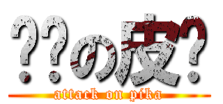 闪闪の皮卡 (attack on pika)