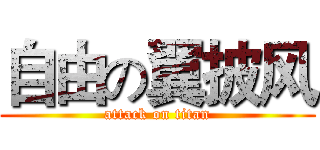 自由の翼披风 (attack on titan)