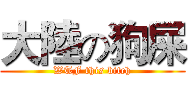 大陸の狗屎 (WTF this bitch)