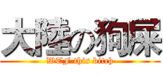 大陸の狗屎 (WTF this bitch)