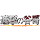 進撃の谷哥 (attack on guge)