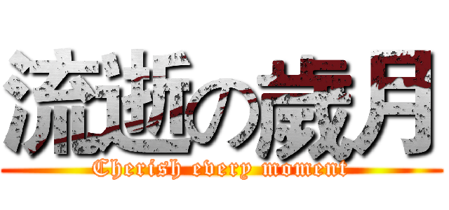 流逝の歲月 (Cherish every moment)