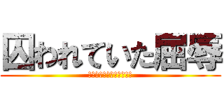 囚われていた屈辱 (１枚残らず　駆逐してやる)