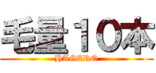 毛量１０本 (HAGERO)