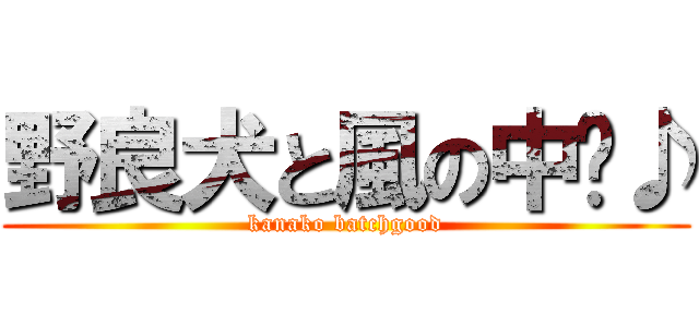 野良犬と風の中〜♪ (kanako batchgood)