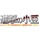 進撃の小豆 (Crazy Family @ Bean)