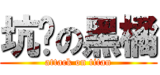 坑爹の黑橘 (attack on titan)