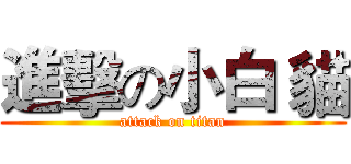 進擊の小白 貓 (attack on titan)