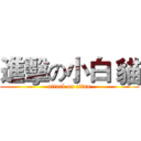 進擊の小白 貓 (attack on titan)