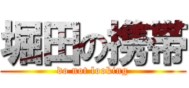 堀田の携帯 (do not looking)