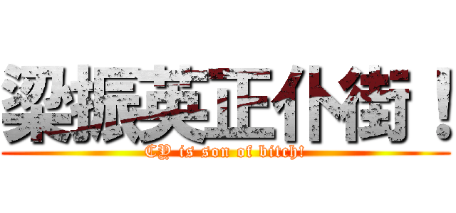梁振英正仆街！ (CY is son of bitch!)