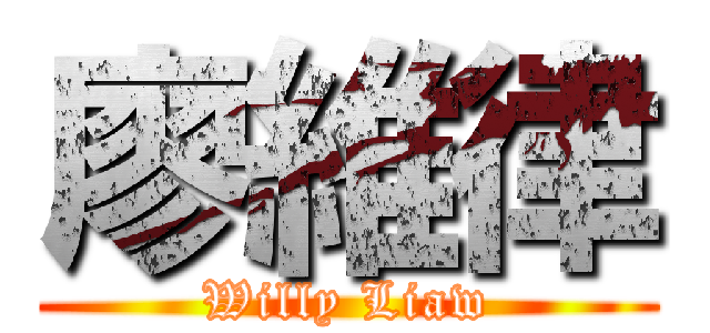 廖維律 (Willy Liaw)