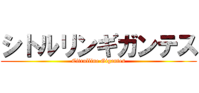 シトルリンギガンテス (Citrulline Gigantes)