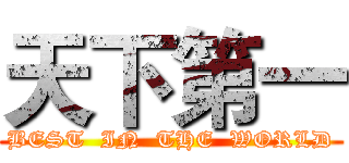 天下第一 (BEST  IN  THE  WORLD)