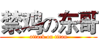 禁鸡の东哥 (attack on titan)