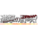 進撃の野咲堇 (attack on titan)