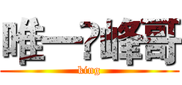 唯一♛峰哥 (king)