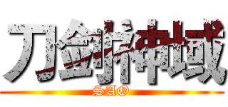 刀剑神域 (SAO)