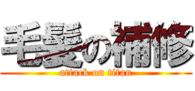 毛髪の補修 (attack on titan)