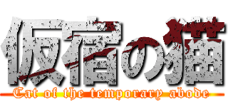 仮宿の猫 (Cat of the temporary abode)