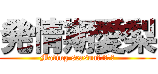 発情期愛梨 (Mating season　ＡＩＲＩ)