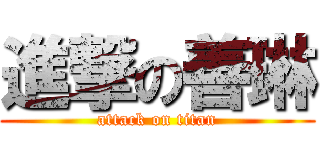 進撃の善琳 (attack on titan)