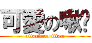 可愛の啾咪 (attack on titan)