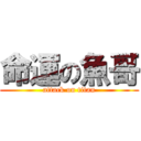 命運の魚哥 (attack on titan)