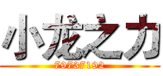 小龙之力 (79737192)