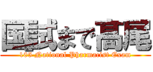 国試まで髙尾 (105 National Pharmacist Exam)