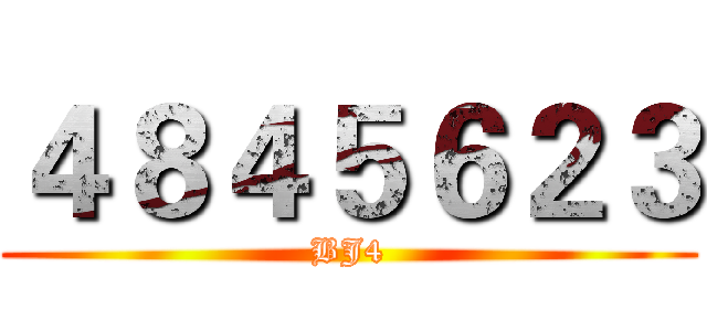 ４８４５６２３ (BJ4)