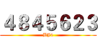 ４８４５６２３ (BJ4)