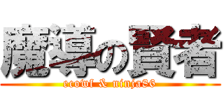 魔導の賢者 (ecowf & ninja86)