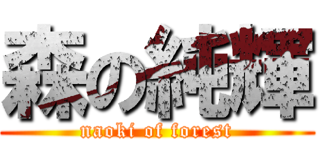 森の純輝 (naoki of forest)