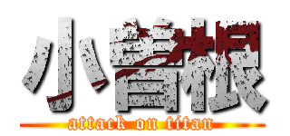 小曽根 (attack on titan)