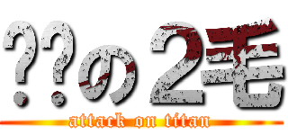 劳资の２毛 (attack on titan)