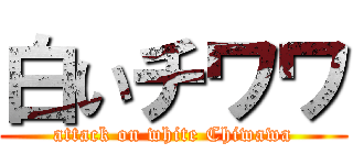 白いチワワ (attack on white Chiwawa)