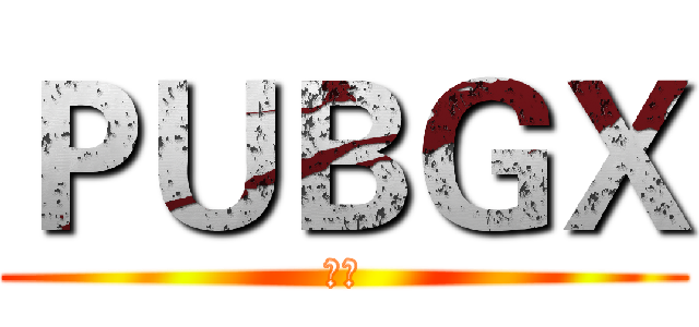 ＰＵＢＧＸ (端口)